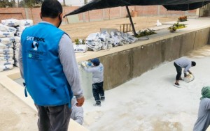 Proyecto Aplicación de Hydrazzo - Pachacamac