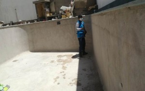 Proyecto de Aplicación de Pepelma Española - Arequipa