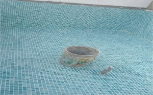Proyecto de Aplicación de Pepelma y Terrazo - Playa Puerto Nuevo